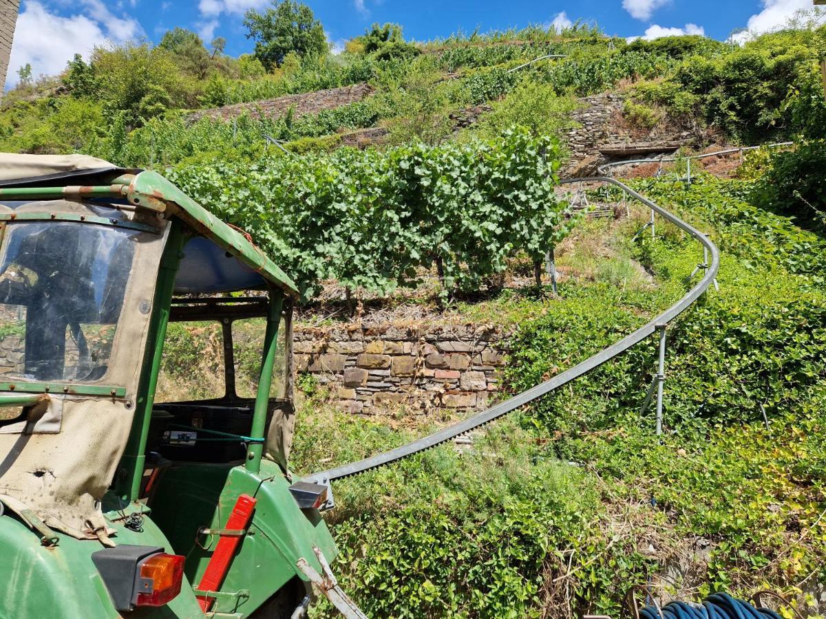 Weingut Haxel Hotel Cochem Eksteriør billede