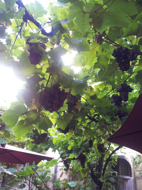 Weingut Haxel Hotel Cochem Eksteriør billede