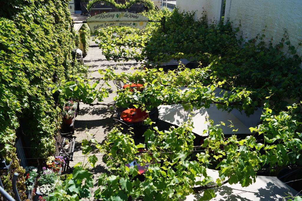 Weingut Haxel Hotel Cochem Eksteriør billede